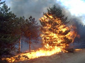 Velika požarna ogroženost naravnega okolja 