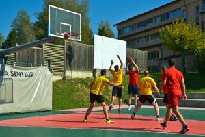 Športne igre krajevnih skupnosti