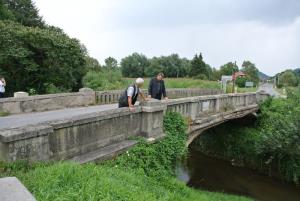 Iskanje optimalnih rešitev za državne ceste v Občine Šentjur