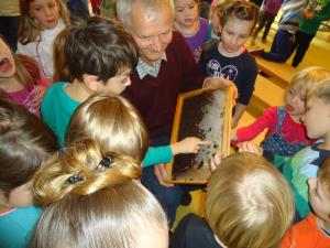 Tradicionalni slovenski zajtrk posladkan z medom in domačim kruhom