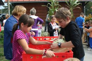 IMG_115_b