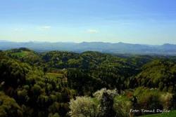 Lovska družina Dramlje