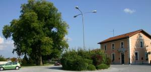 Pagodovec pri Železniški postaji Šentjur