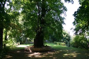 Grajski park Planina pri Sevnici