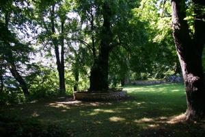 Grajski park Planina pri Sevnici