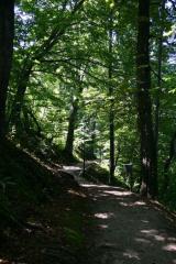 Grajski park Planina pri Sevnici