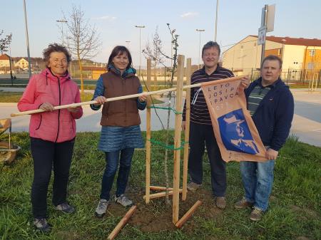 Saditev v KS Ponikva 