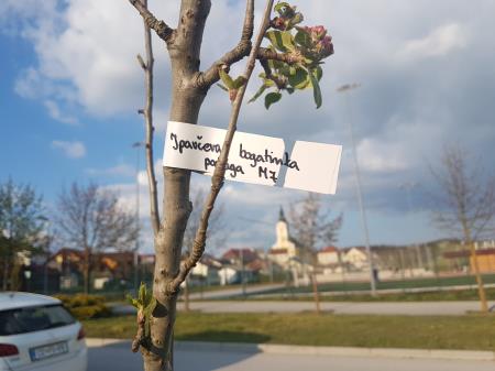 Bogatinka v KS Ponikva 