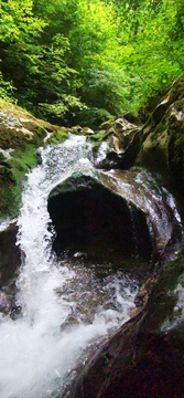 IMG_20250616_121729