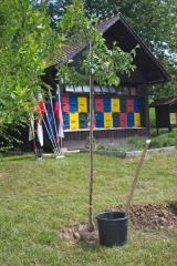 Čebelnjak Čebelarskega društva Šentjur 